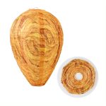 Miniatyrbilde 2