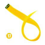Miniatyrbilde 1