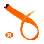 Miniatyrbilde 1
