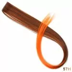 Miniatyrbilde 1