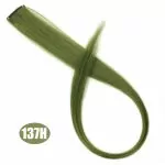 Miniatyrbilde 1