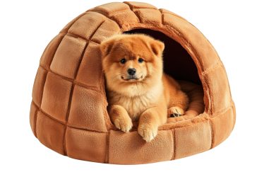 Igloformet hundeseng med myk pute og liten hund inni