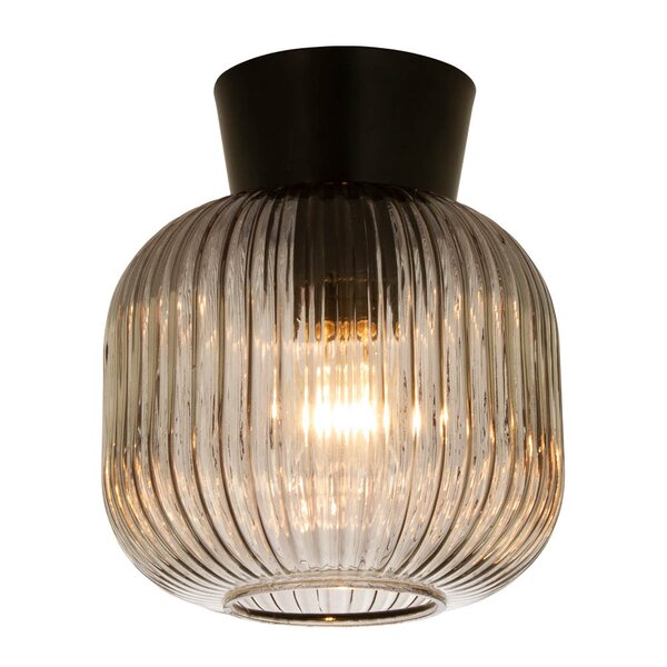 Liten svart plafond med rillet røykfarget glass